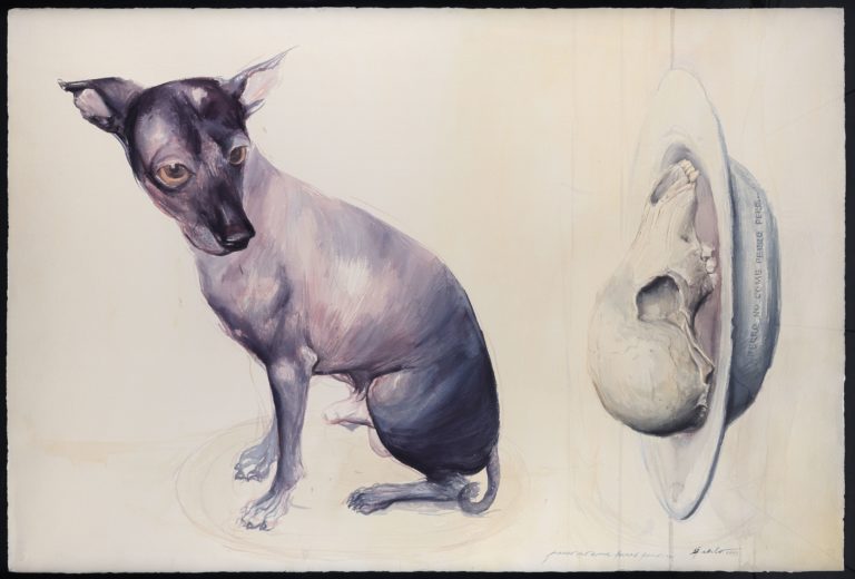 Perro no come perro pero... 2003